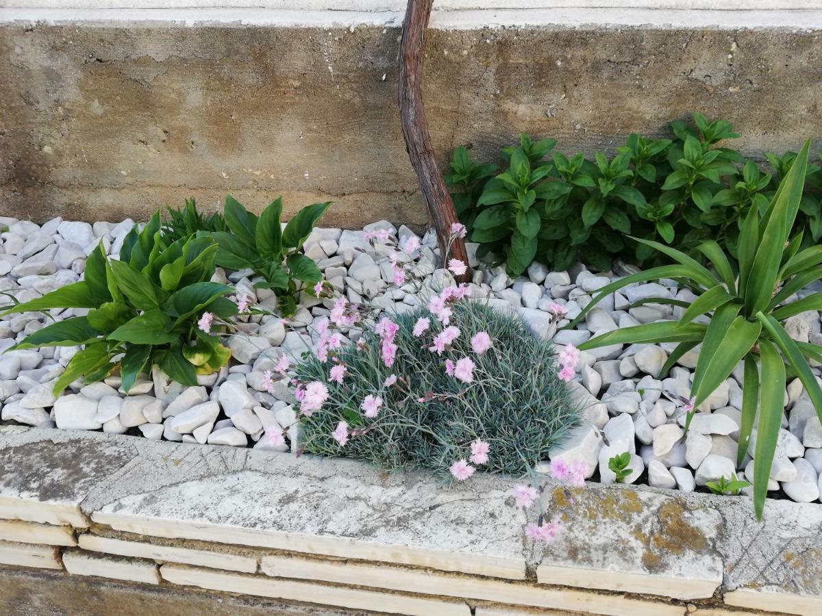 Apartament 1